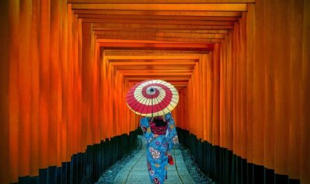 Qué ver y hacer en Kioto