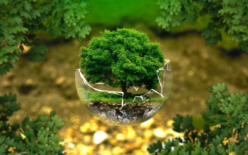 ¿Qué son los códigos éticos ambientales?