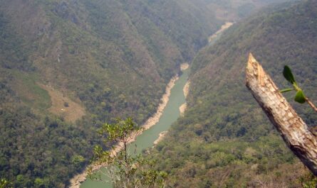 Los principales ríos de Guatemala y su importancia para el país
