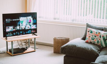 reparto de las leyes de la frontera